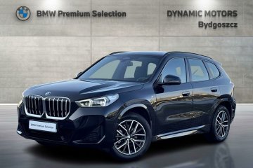 BMW x1 18i sDrive MPakiet, Serwis Inclusive, Salon PL